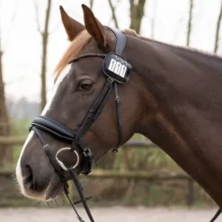 Porte numéros par 2 vernis - QHP - cuir orné de strass