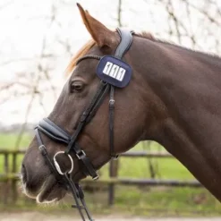 Porte numéros shine - QHP - paillettes