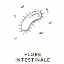 ProbioGuts - 15 kg - Stable Guts - Probiotiques BIO