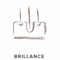 ProbioGuts - 15 kg - Stable Guts - Probiotiques BIO