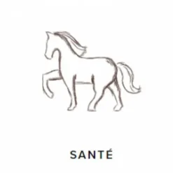 ProbioGuts - 15 kg - Stable Guts - Probiotiques BIO