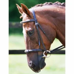 Protection Anti-Encensement - Equilibrium