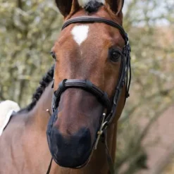 Protection Anti-Encensement - Equilibrium