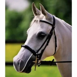 Protection Anti-Encensement - Equilibrium