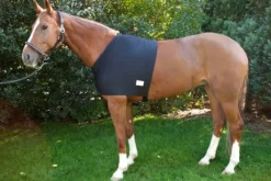 Protection d'épaules contre l'usure du poil du cheval