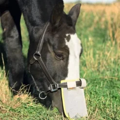 Protection solaire de nez Equilibrium