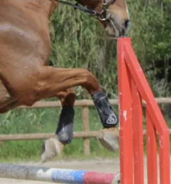 Protection xtr norton