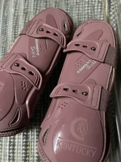 Protections Kentucky rose