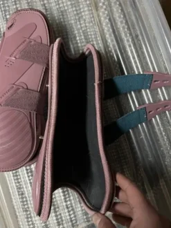 Protections Kentucky rose