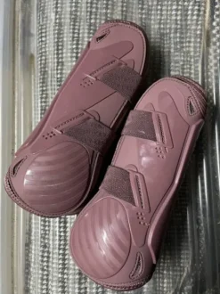 Protections Kentucky rose