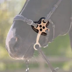 Protections pour hackamore 0093 Jump in