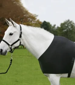 Protege épaule Waldhausen