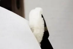 Protège queue en mouton - KENTUCKY