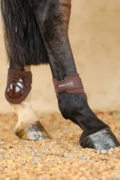 Protège-boulets Harcour Paddi