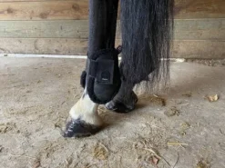 Protèges boulets noirs Décathlon