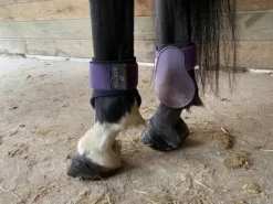 Protèges boulets Norton violet