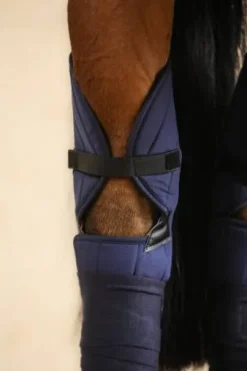 Protèges Jarrets Harcour Cavaletti (2 coloris)