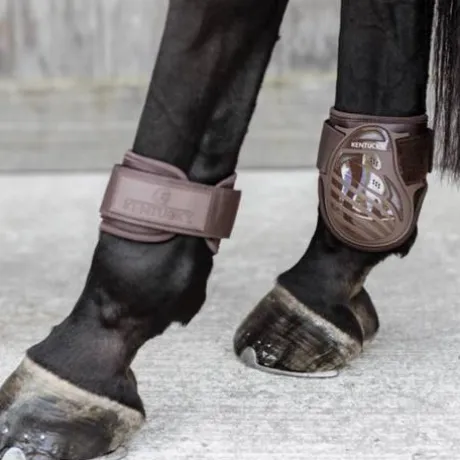 Protèges-boulets jeunes chevaux - Kentucky
