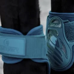 Protèges-boulets jeunes chevaux - Kentucky