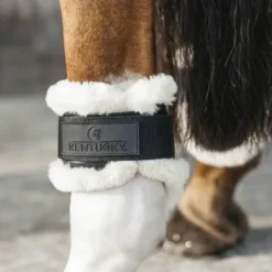 Protèges-boulets jeunes chevaux avec mouton végan - Kentucky Horsewear