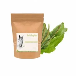 Psyllium cheval - Colique de sable