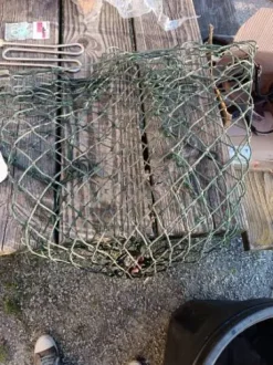 Purificateur hay gan