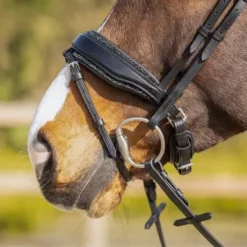 Rembourrage muserolle interchangeable Skye - QHP - Strass