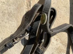 Renes en cuir Eric Thomas