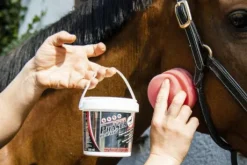 Repulsif power phaser durativ 500ml - Leovet