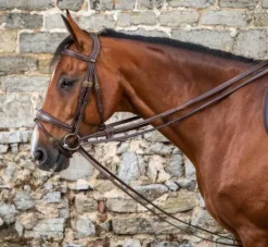 Rênes allemandes en cuir 1/2 - Dy'on