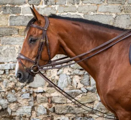Rênes allemandes en cuir 1/2 - Dy'on