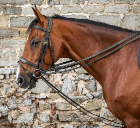 Rênes allemandes en cuir 1/2 - Dy'on