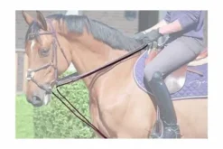 Rênes allemandes en cuir et corde - Dy'on Collection