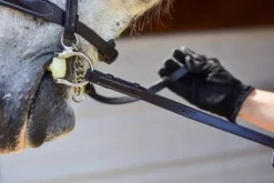 Rênes avec arrêts et crochet à rivet - thinline - antidérapantes