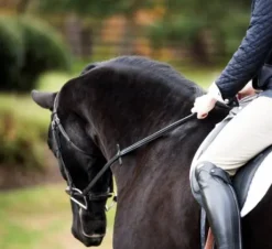 Rênes avec arrêts et crochet à rivet - thinline - antidérapantes