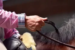 Rênes avec arrêts et crochet à rivet - thinline - antidérapantes