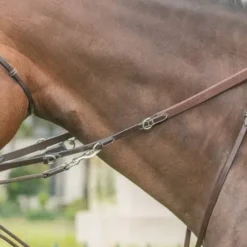 Rênes d'enrênement Howlett - Jump'in