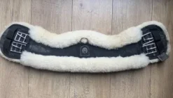 Sangle anatomique CHRIST Mouton T55