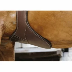 Sangle bavette Magnetique Norton Pro