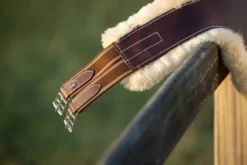 Sangle bavette mouton Evo HFI