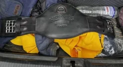 Sangle dressage Hérmes