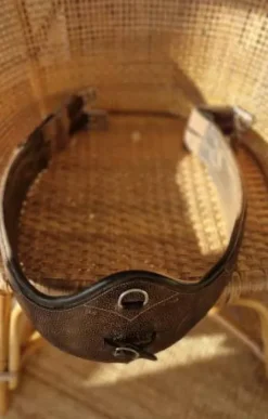 Sangle longue bavette Forestier