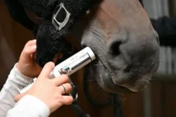 Seringue de gel gastrique Natural'Digest Flash - Natural'Innov