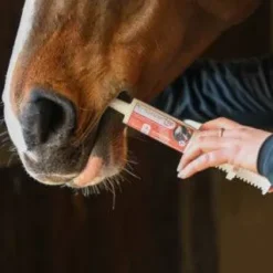 Seringue forme vitalité performance Natural'Top Flash - Natural'Innov