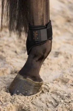 Set de guêtres et protège-boulets Franka - HV Polo