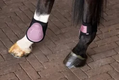 Set de guêtres et protège-boulets Franka - HV Polo