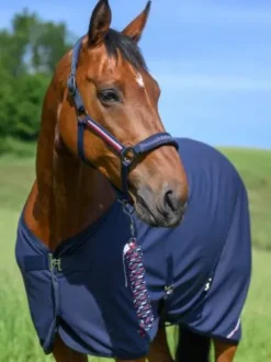 Set licol et longe Rope Yale - Tommy Hilfiger