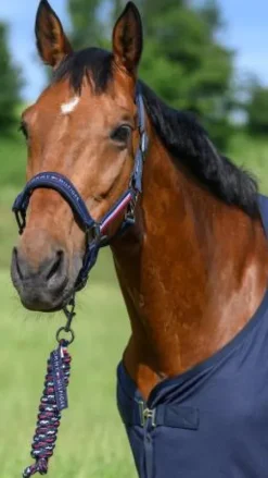 Set licol et longe Rope Yale - Tommy Hilfiger