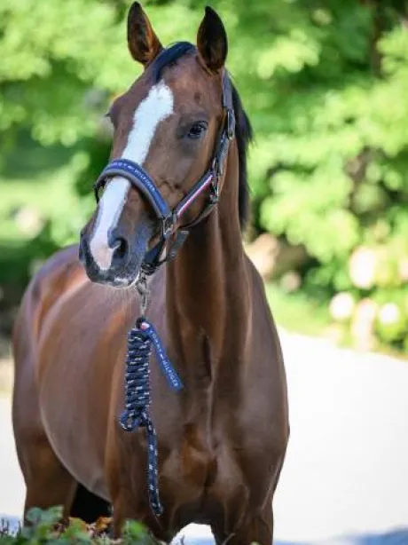 Set licol et longe Rope Yale - Tommy Hilfiger