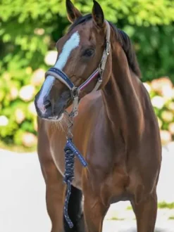 Set licol et longe Rope Yale - Tommy Hilfiger